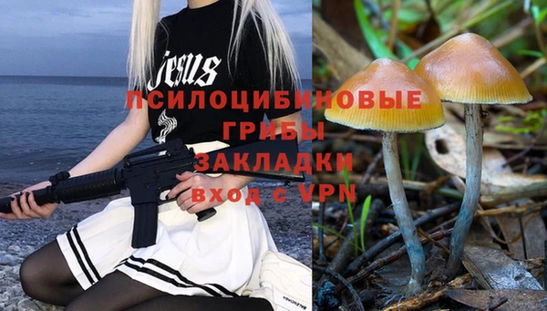 ГАЛЛЮЦИНОГЕННЫЕ ГРИБЫ Алексин